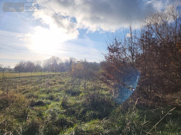 Terrains de loisirs bois etangs a vendre Laferté-sur-Aube 52120 Haute-Marne 2530 m2  7500 euros
