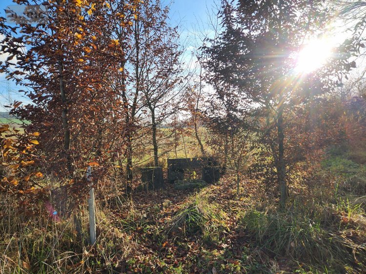 Terrains de loisirs bois etangs a vendre Laferté-sur-Aube 52120 Haute-Marne 2530 m2  7500 euros
