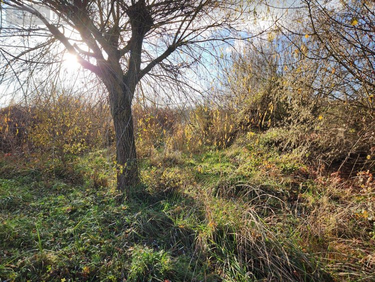 Terrains de loisirs bois etangs a vendre Laferté-sur-Aube 52120 Haute-Marne 2530 m2  7500 euros