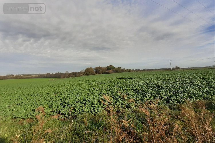 Maison a vendre Séglien 56160 Morbihan 115 m2 5 pièces 126500 euros