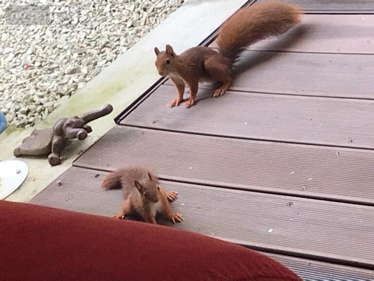 Maison a vendre Troyes 10000 Aube 167 m2 7 pièces 389000 euros