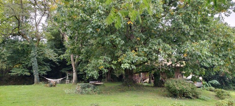 propriete a vendre Beaussais Vitré 79370 Deux-Sèvres 132 m2 5 pièces 249700 euros