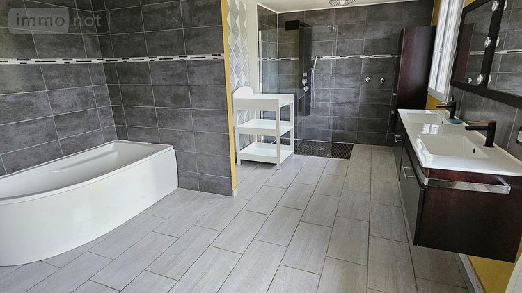 Maison a vendre Outines 51290 Marne 246 m2 7 pièces 229000 euros