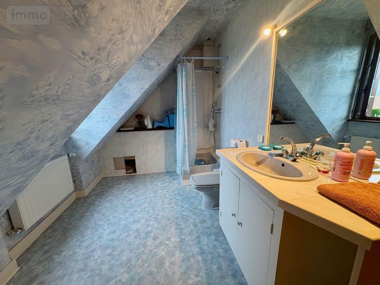 Maison a vendre Souesmes 41300 Loir-et-Cher 117 m2 5 pièces 173910 euros