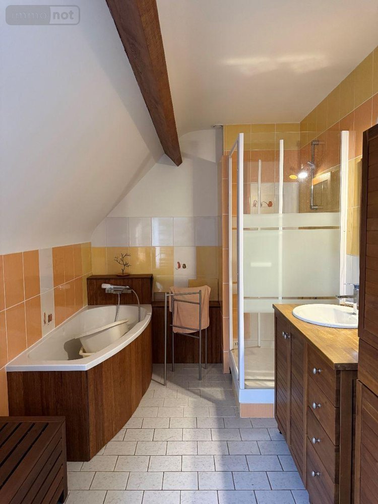 Maison a vendre Messon 10190 Aube 162 m2  251000 euros