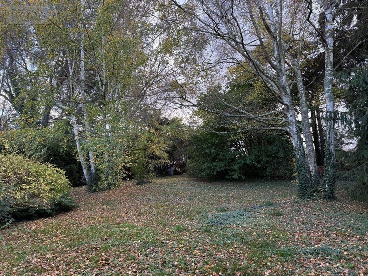 Maison a vendre Messon 10190 Aube 162 m2  240000 euros