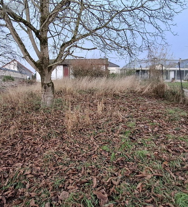 Maison a vendre Rethel 08300 Ardennes 70 m2 3 pièces 76000 euros