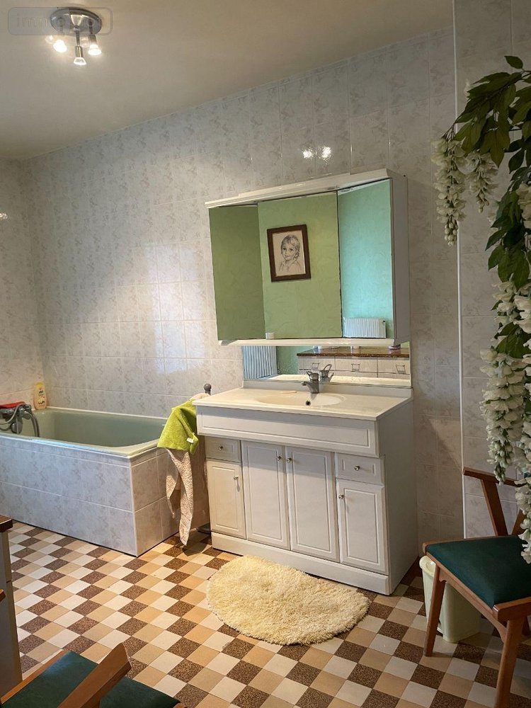 Immeuble a vendre Bailleul 59270 Nord 273 m2  425000 euros