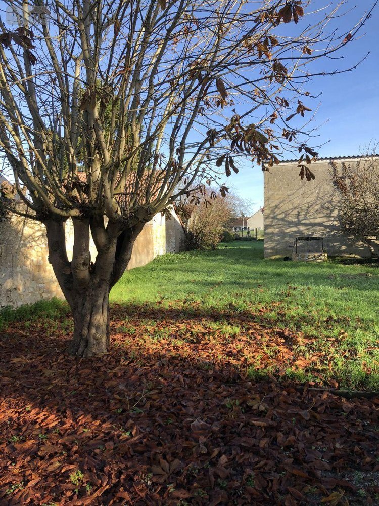 Maison a vendre Saint-Ambroix 18290 Cher 69 m2 2 pièces 74200 euros