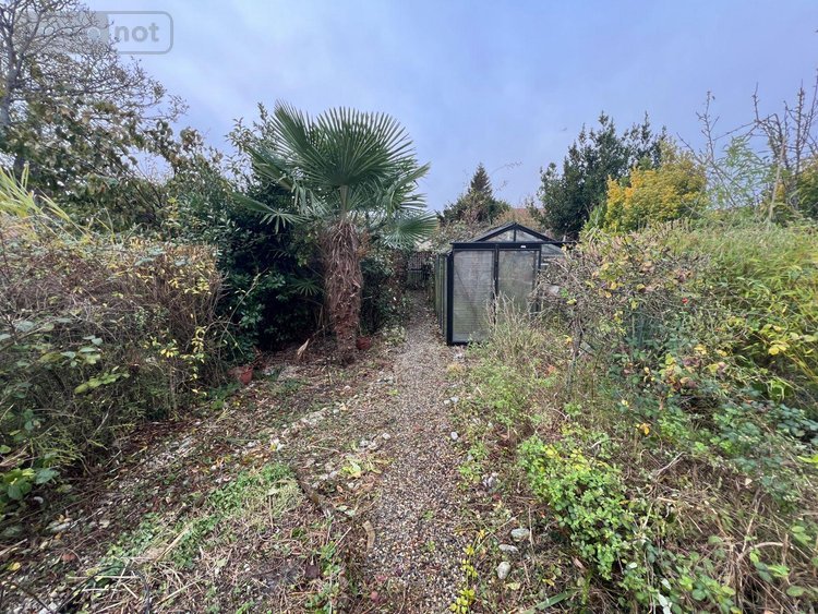 Maison a vendre Coudekerque-Branche 59210 Nord 100 m2  229640 euros