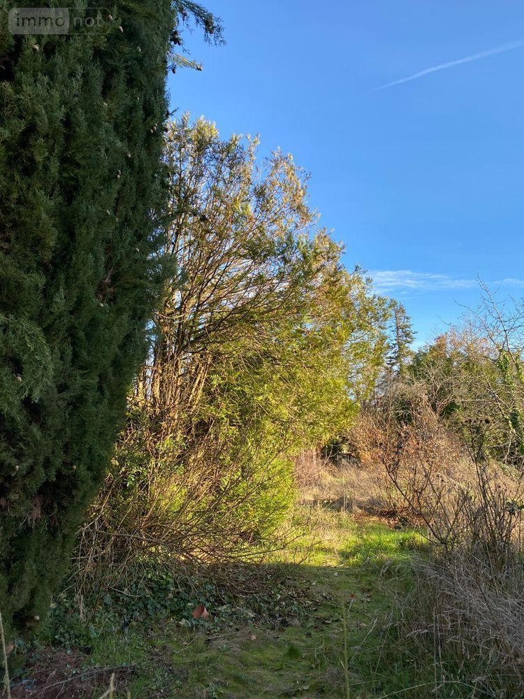 Maison a vendre Azay-le-Ferron 36290 Indre 106 m2 5 pièces 54200 euros