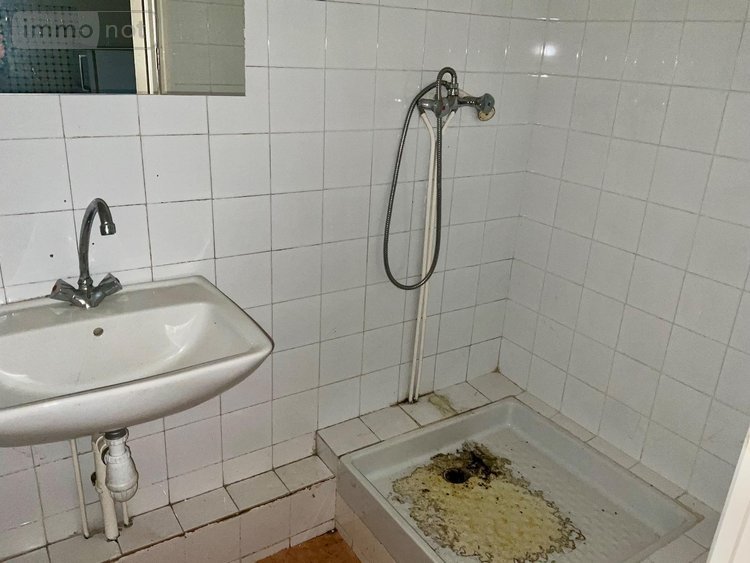 Immeuble a vendre Saint-Priest-Taurion 87480 Haute-Vienne 239 m2  33000 euros