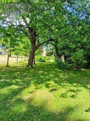Maison a vendre Neuvy-Pailloux 36100 Indre 81 m2 4 pièces 64320 euros