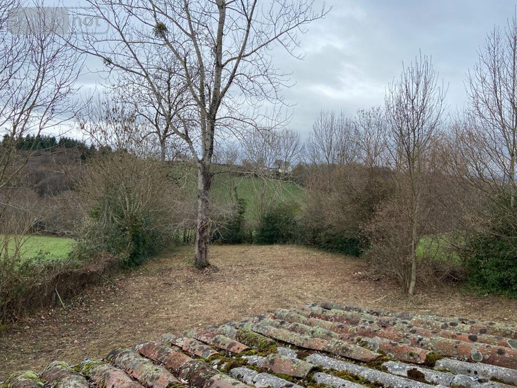 Maison a vendre Roannes-Saint-Mary 15220 Cantal 52 m2 3 pièces 90100 euros