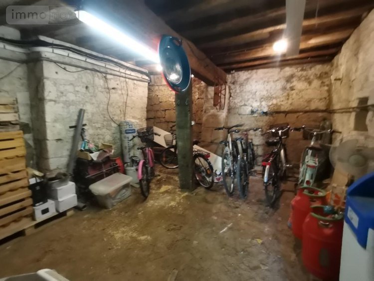 Maison a vendre Chouzé-sur-Loire 37140 Indre-et-Loire 140 m2 7 pièces 220000 euros