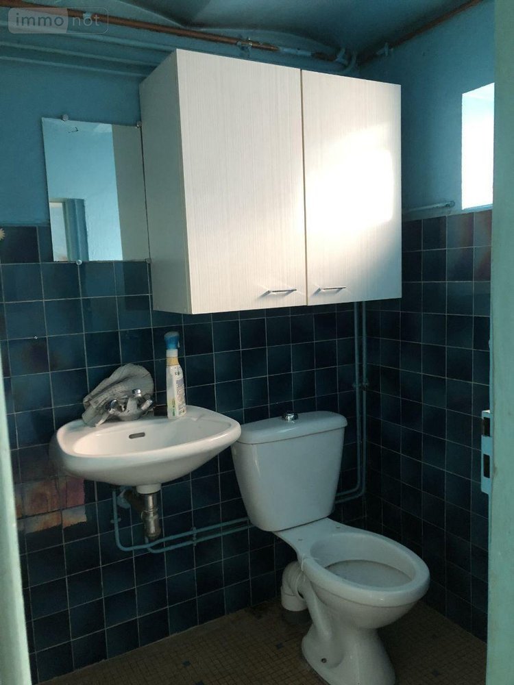 Maison a vendre Reuilly 36260 Indre 52 m2 3 pièces 38000 euros