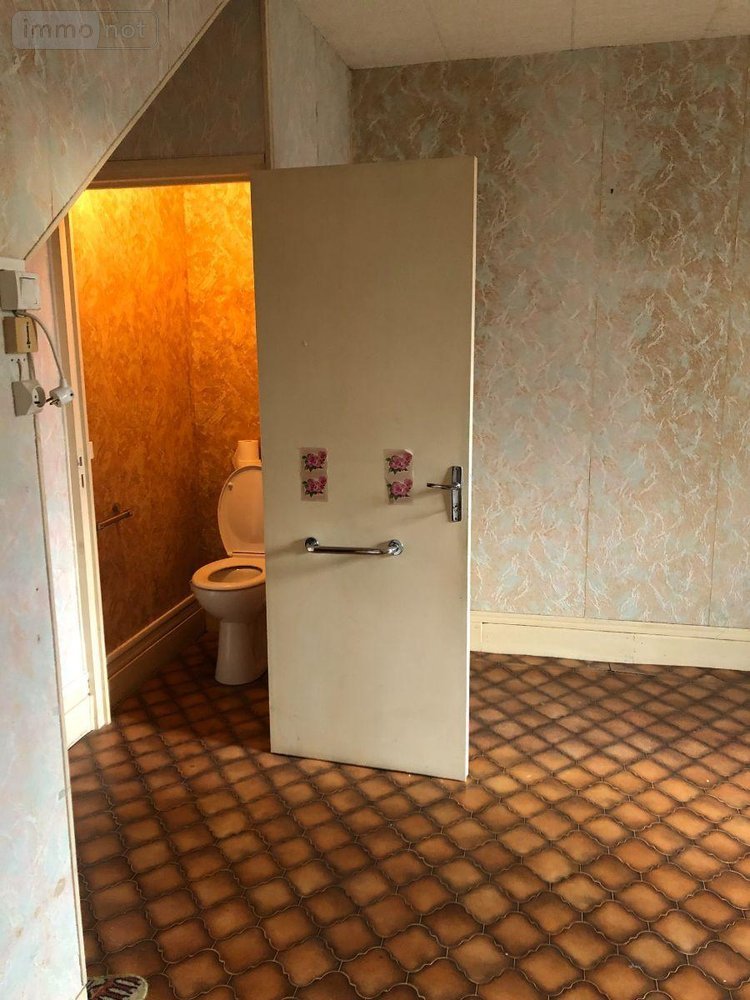 Maison a vendre Reuilly 36260 Indre 52 m2 3 pièces 38000 euros