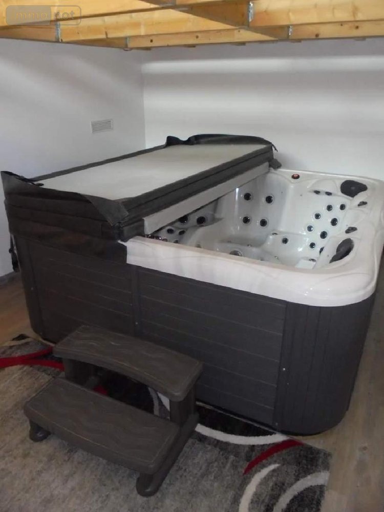 Maison a vendre Josnes 41370 Loir-et-Cher 374 m2 13 pièces 371500 euros