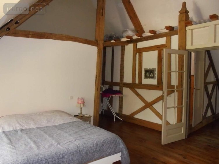 Maison a vendre Josnes 41370 Loir-et-Cher 374 m2 13 pièces 371500 euros