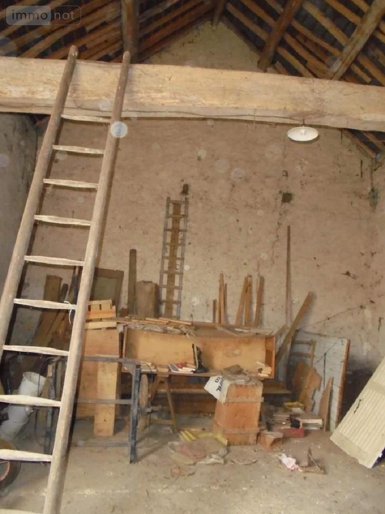 Bien agricole a vendre Baule 45130 Loiret 58 m2  68700 euros