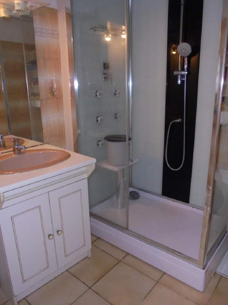 Maison a vendre Baule 45130 Loiret 171 m2 7 pièces 210200 euros