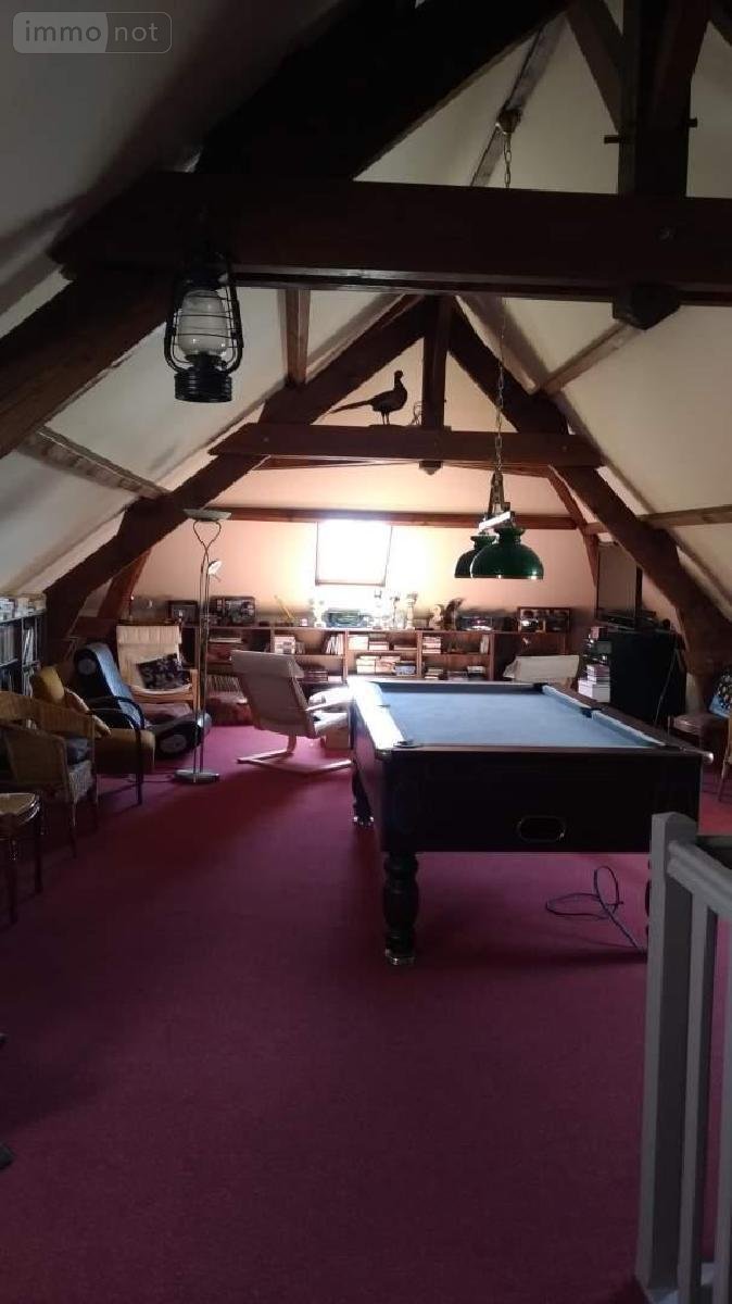 propriete a vendre Beaugency 45190 Loiret 360 m2 13 pièces 891400 euros