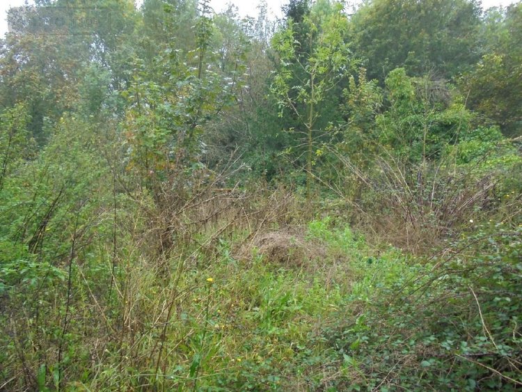 Maison a vendre Tavers 45190 Loiret 143 m2 3 pièces 191300 euros