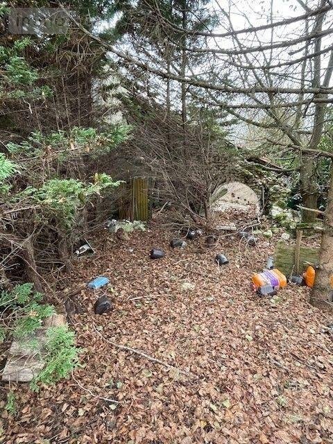 Maison a vendre Huisseau-sur-Cosson 41350 Loir-et-Cher 48 m2 2 pièces 60000 euros