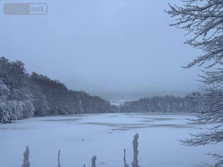 Terrains de loisirs bois etangs a vendre Le Val-d'Ajol 88340 Vosges 25021 m2  126540 euros