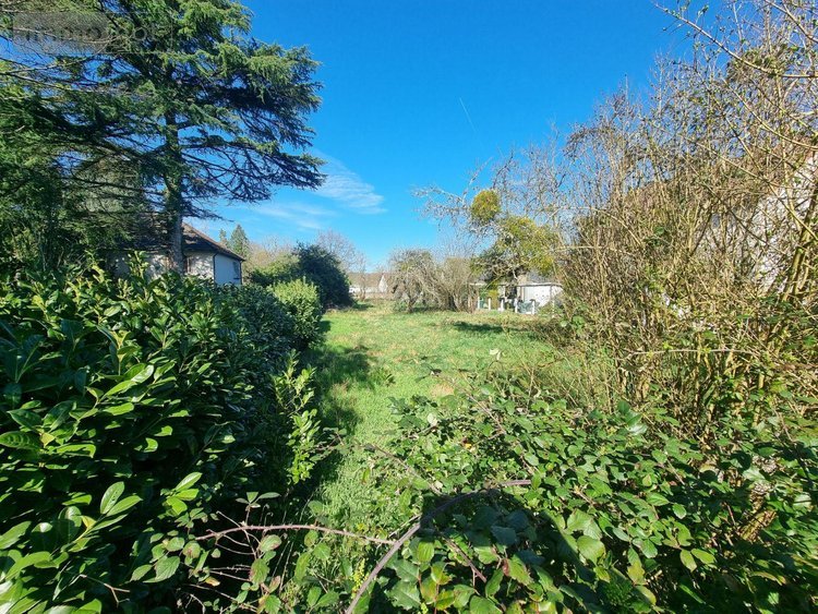 Maison a vendre Villefranche-sur-Cher 41200 Loir-et-Cher 90 m2 5 pièces 73780 euros