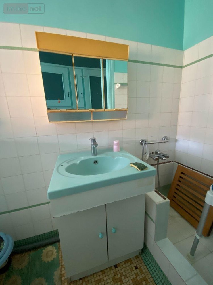 Maison a vendre Villedieu-sur-Indre 36320 Indre 50 m2 3 pièces 70100 euros