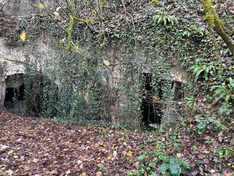 Maison a vendre Rigny-Ussé 37420 Indre-et-Loire 107 m2 4 pièces 46700 euros