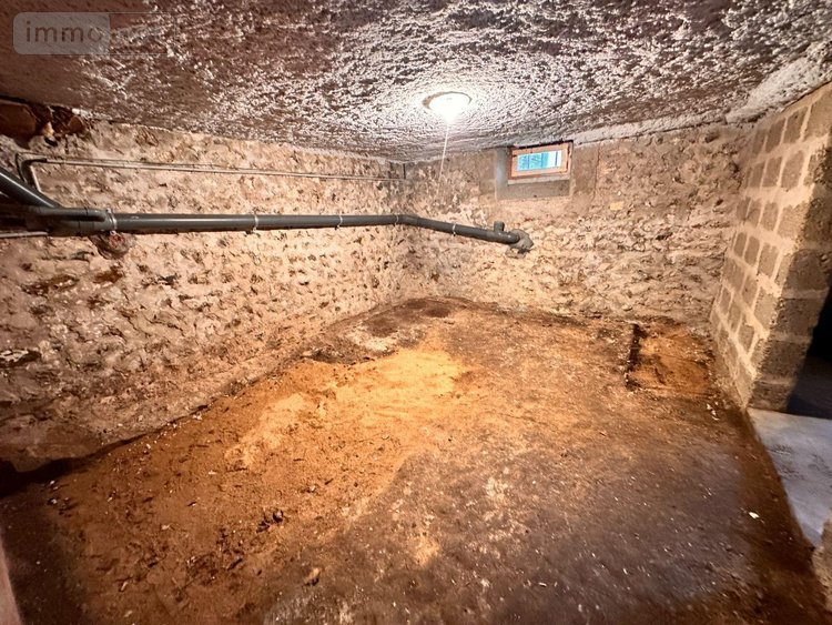 Maison a vendre Saint-Julien-du-Sault 89330 Yonne 108 m2 5 pièces 180000 euros