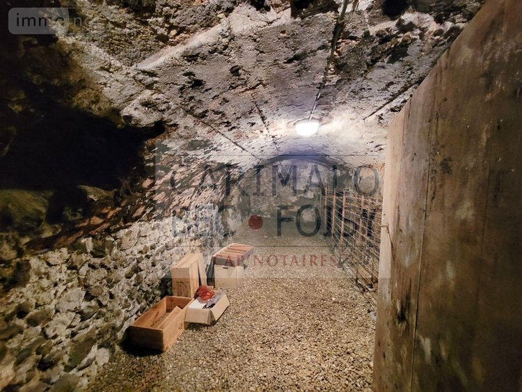 Maison a vendre Châteaudun 28200 Eure-et-Loir 420 m2 10 pièces 450000 euros