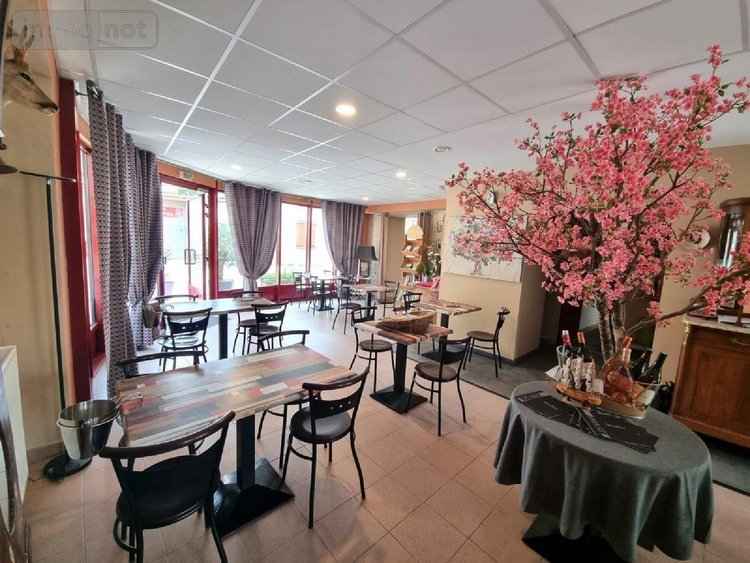 Fonds et murs commerciaux a vendre Cunfin 10360 Aube 283 m2  239200 euros