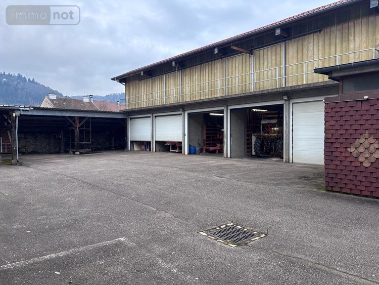 Immeuble a vendre Le Val-d'Ajol 88340 Vosges 700 m2  209900 euros