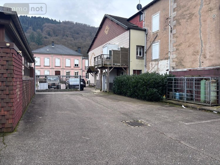 Immeuble a vendre Le Val-d'Ajol 88340 Vosges 700 m2  209900 euros