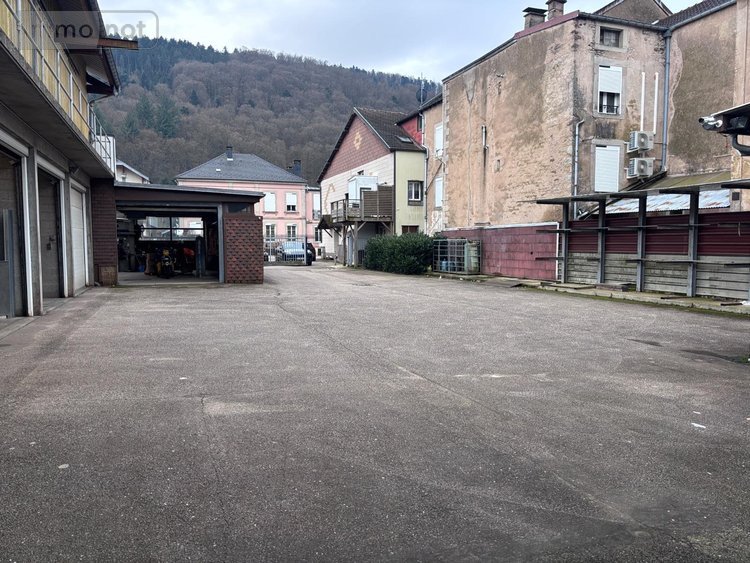 Immeuble a vendre Le Val-d'Ajol 88340 Vosges 700 m2  209900 euros