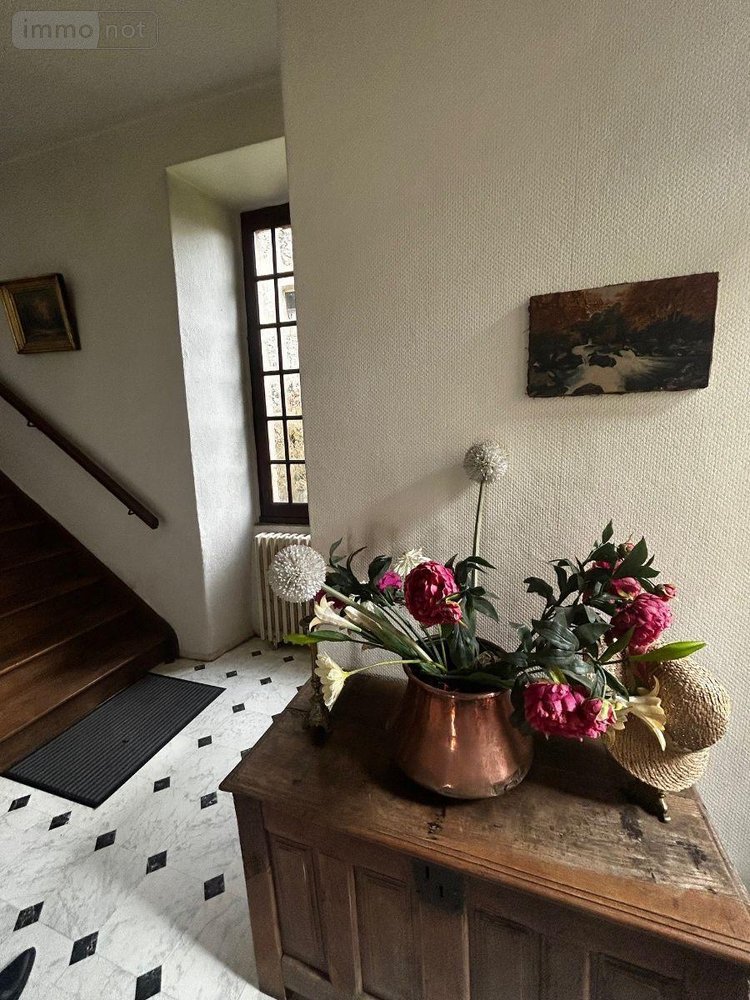 Immeuble a vendre Pleaux 15700 Cantal 200 m2  135680 euros