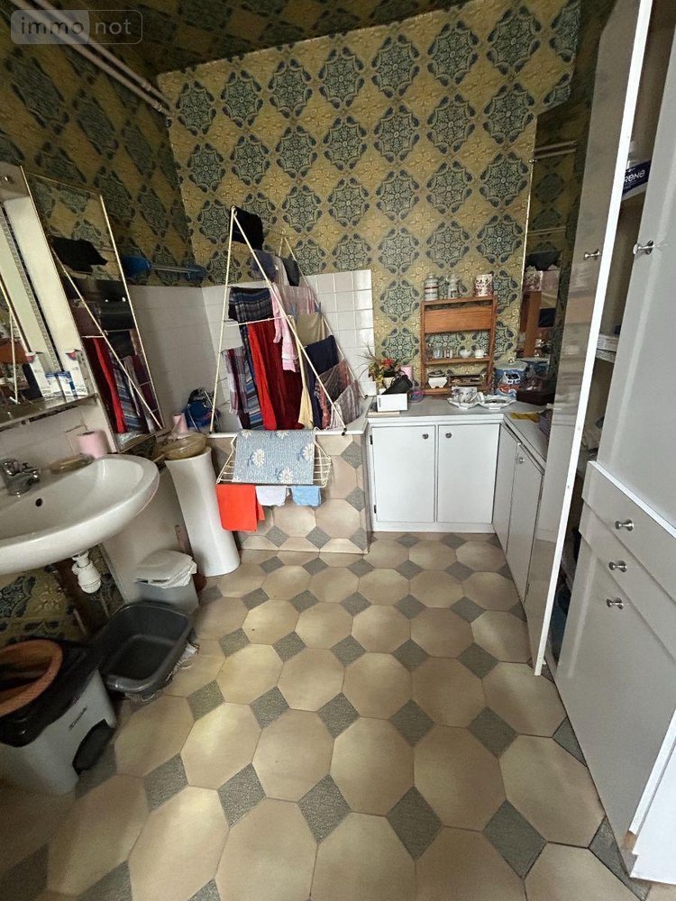 Immeuble a vendre Mauriac 15200 Cantal  233200 euros