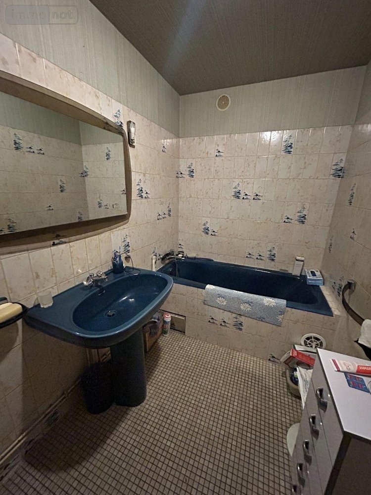 Immeuble a vendre Mauriac 15200 Cantal