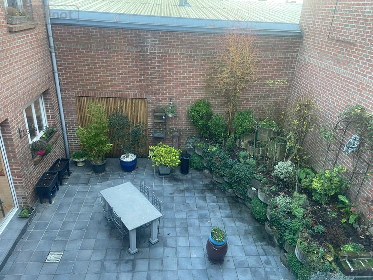 Maison a vendre Bailleul 59270 Nord 335 m2 6 pièces 599000 euros