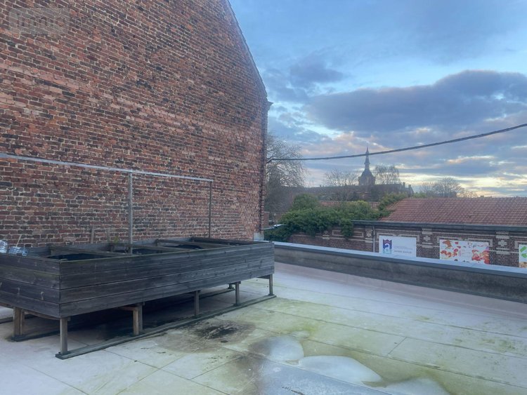 Maison a vendre Bailleul 59270 Nord 335 m2 6 pièces 578000 euros