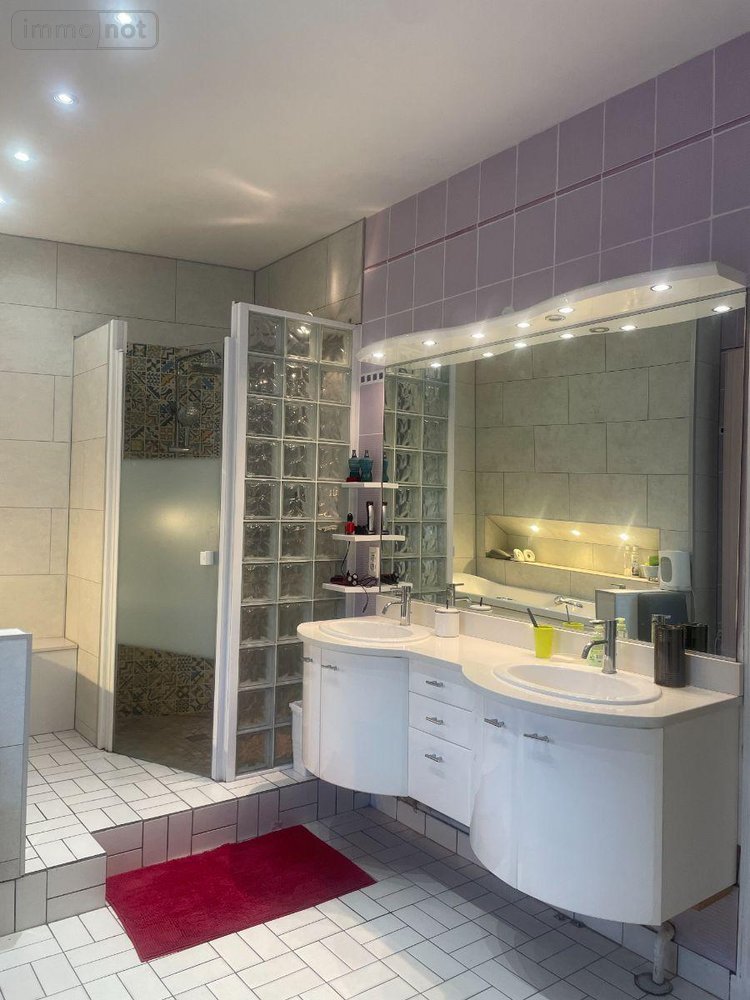 Maison a vendre Bailleul 59270 Nord 335 m2 6 pièces 599000 euros