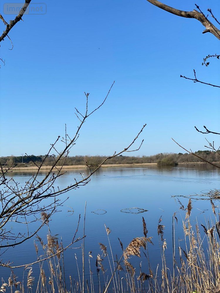 Terrains de loisirs bois etangs a vendre Lingé 36220 Indre 139626 m2  276800 euros