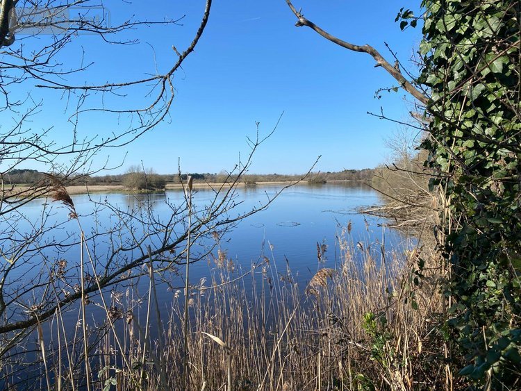 Terrains de loisirs bois etangs a vendre Lingé 36220 Indre 139626 m2  276800 euros