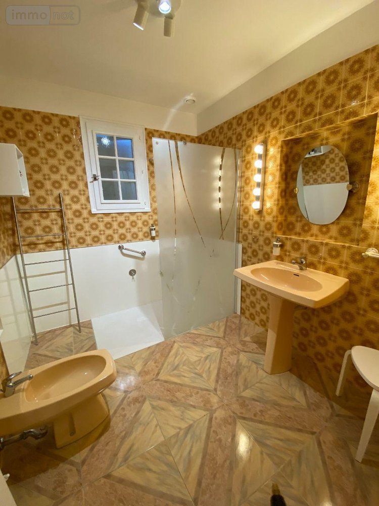 Maison a vendre Buzançais 36500 Indre 115 m2 4 pièces 177160 euros