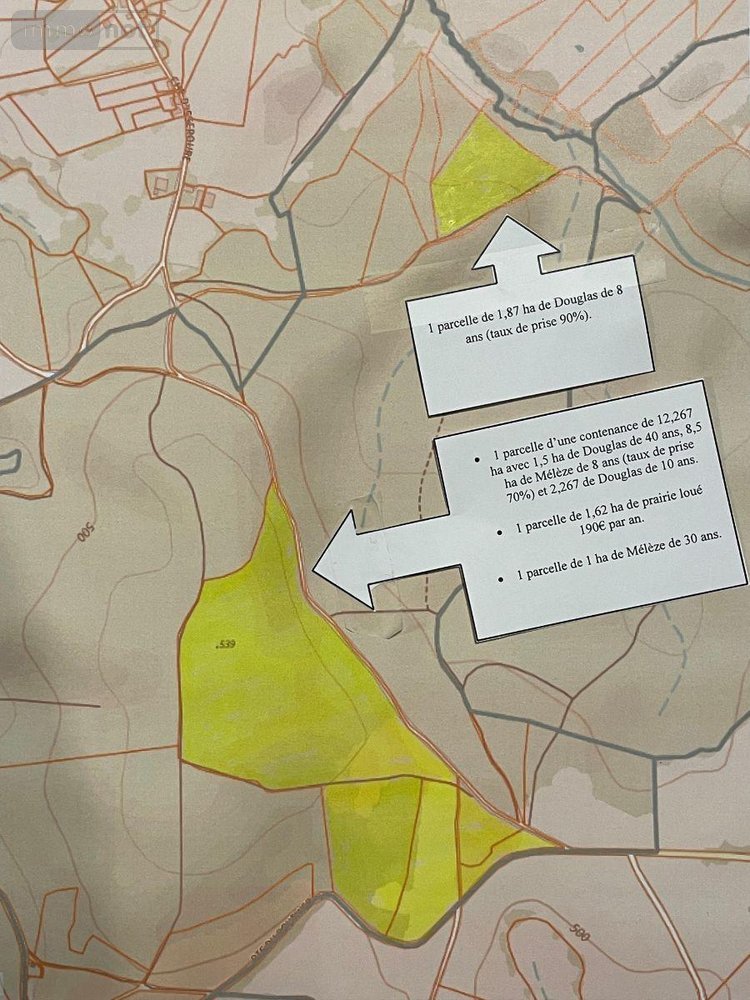 Terrains de loisirs bois etangs a vendre La Chapelle 03300 Allier 167600 m2