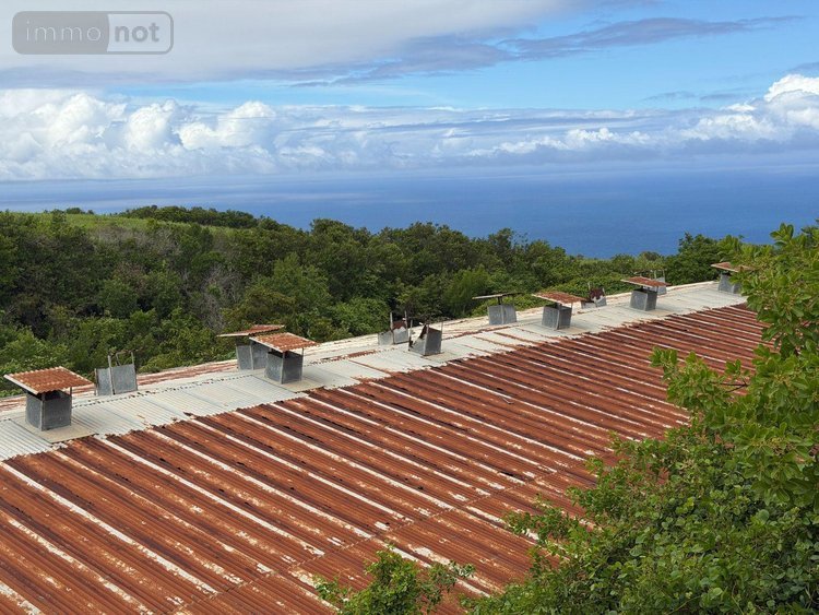 Terrain a batir a vendre Saint-Paul 97460 Réunion 8692 m2  1892000 euros