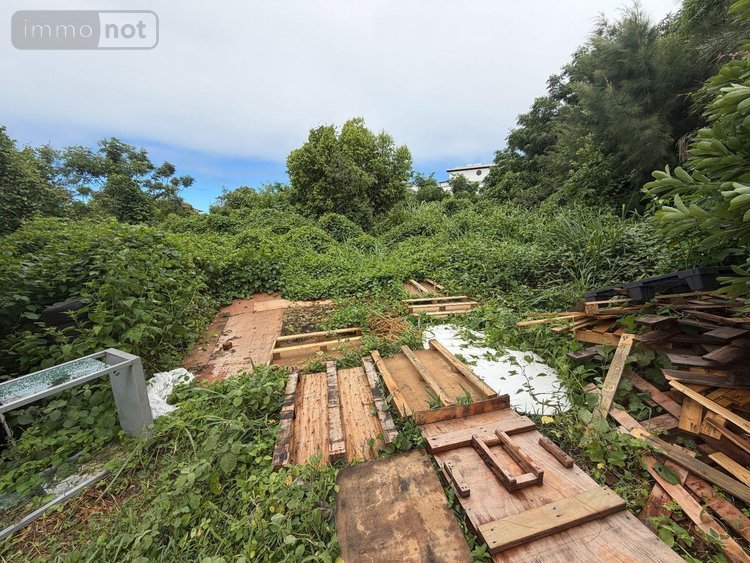 Terrain a batir a vendre Saint-Paul 97460 Réunion 8692 m2  1892000 euros